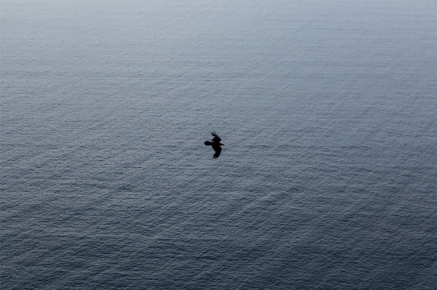 Ruben van Schalm, Freedom