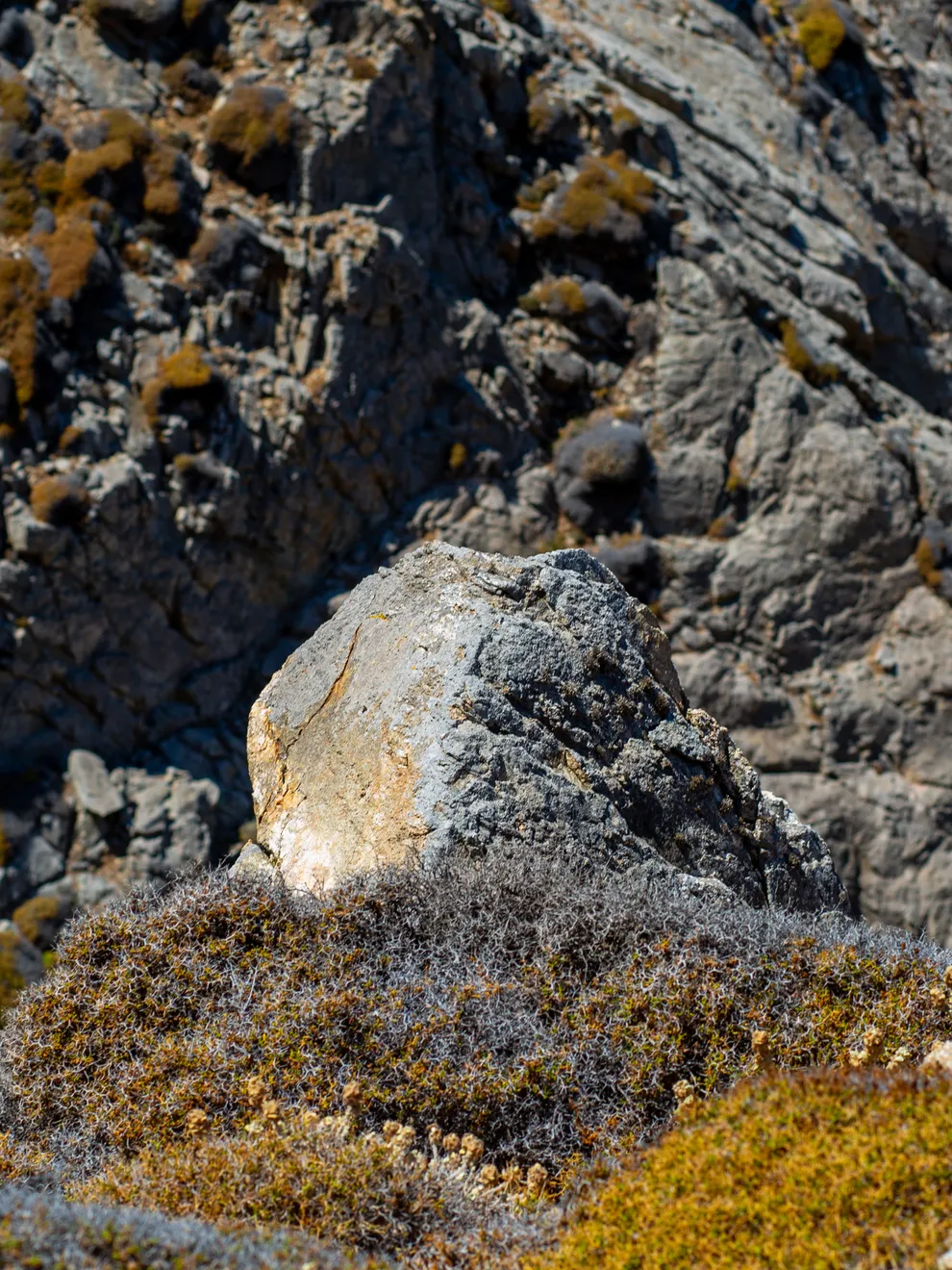 Ruben van Schalm, Interplay of Light