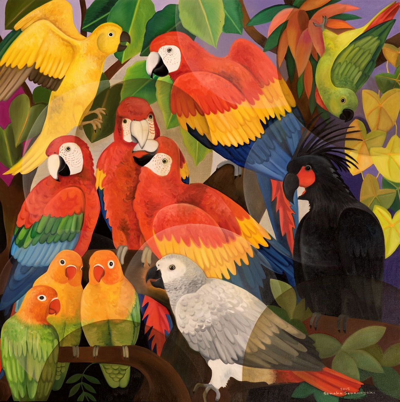Senaka Senanayake, Macaws, 2015