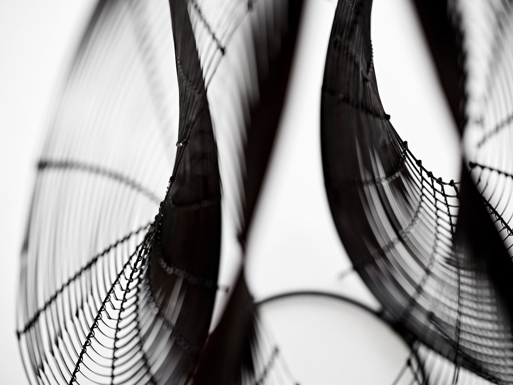 Tanabe Chikuunsai IV & Sawako Kaijima, Hanamushin IV, 2022