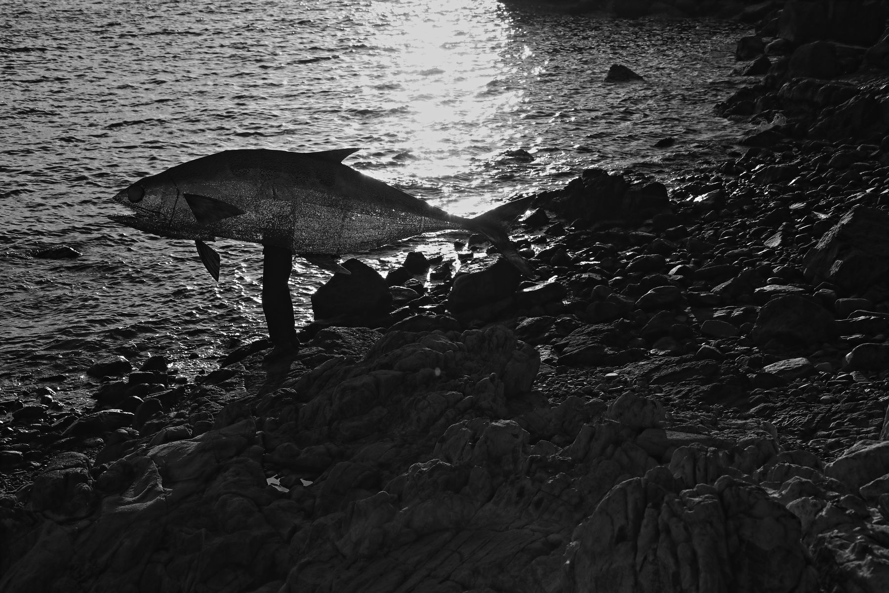 Kacey Wong, The Quarantine, 2020