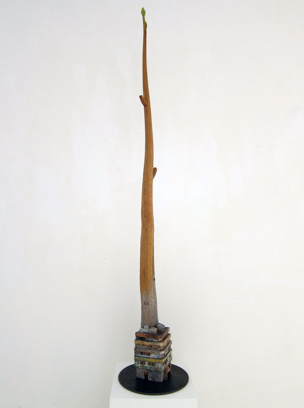 Fung Lik Yan, Kevin, Story of our City 2, 2012