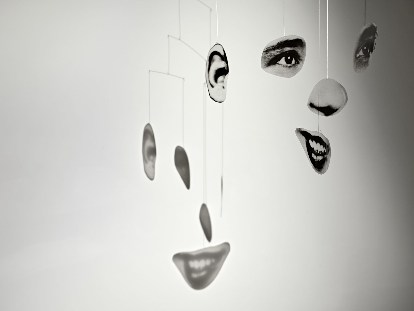 Kensuke Koike, Tournament, Good Luck, 2022