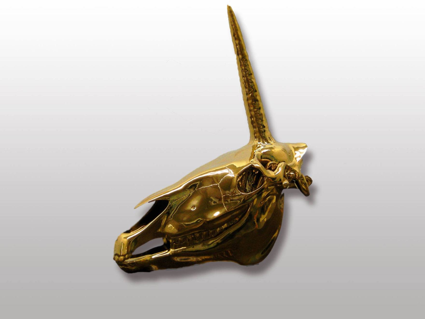 Gao Weigang, Discovery, 2012