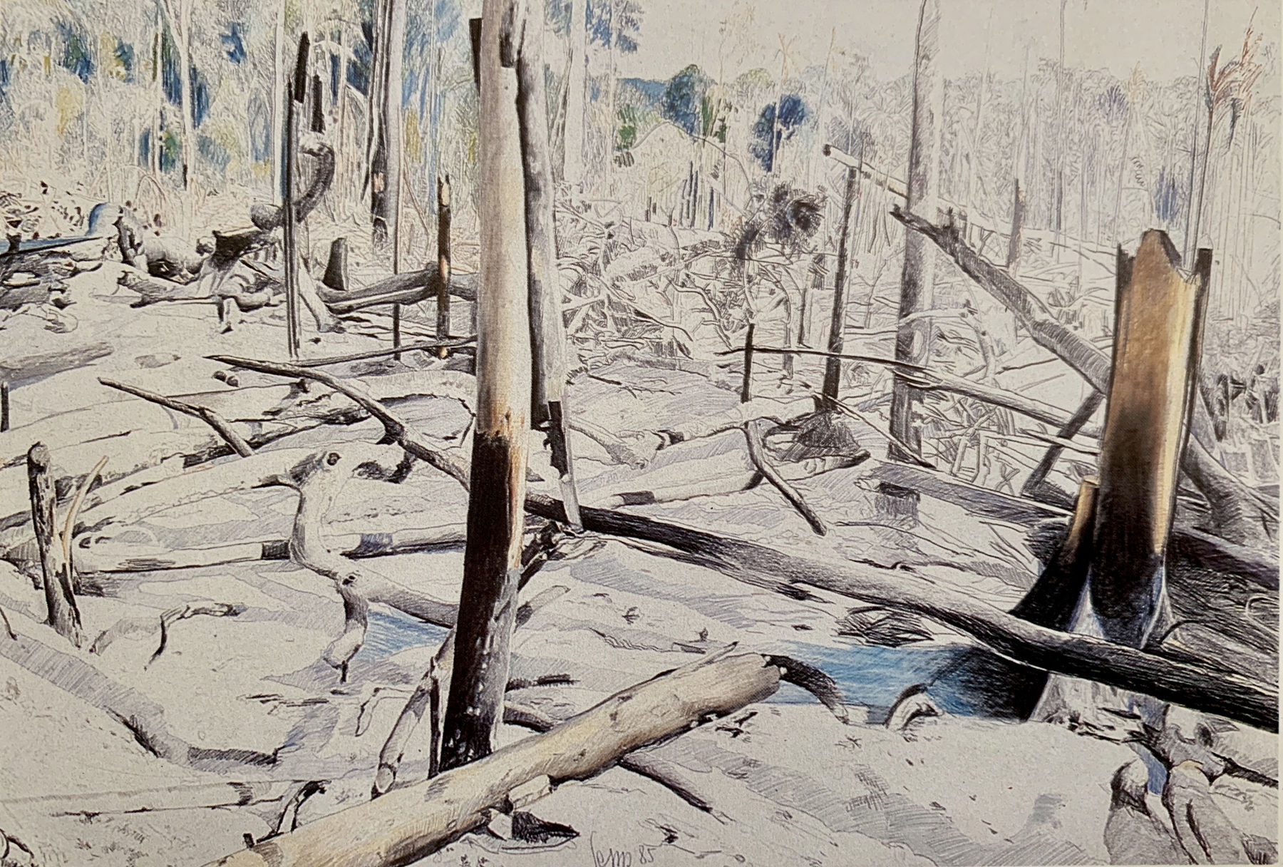 Sepp Baendereck, Catastrófica, 1985