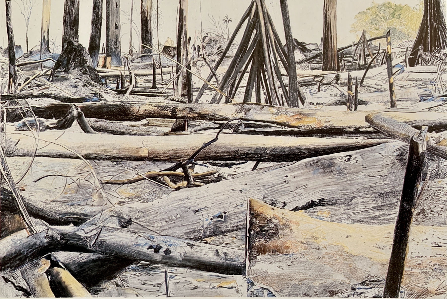 Sepp Baendereck, Holocáustica, 1985