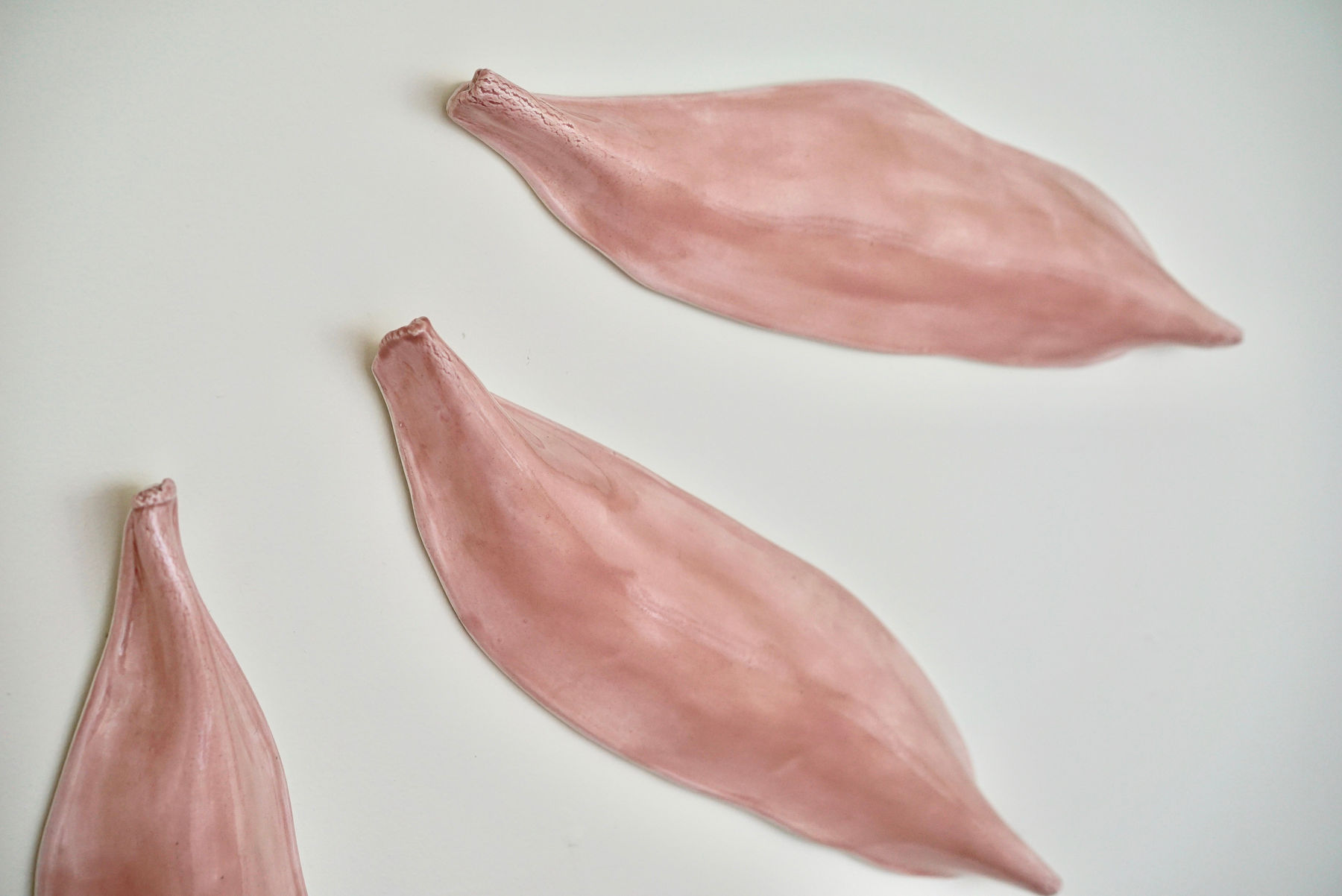 Pink Ceramic petals that can be arranged in multiple ways by slate gray gallery artist Angela Okajima-Kempinas