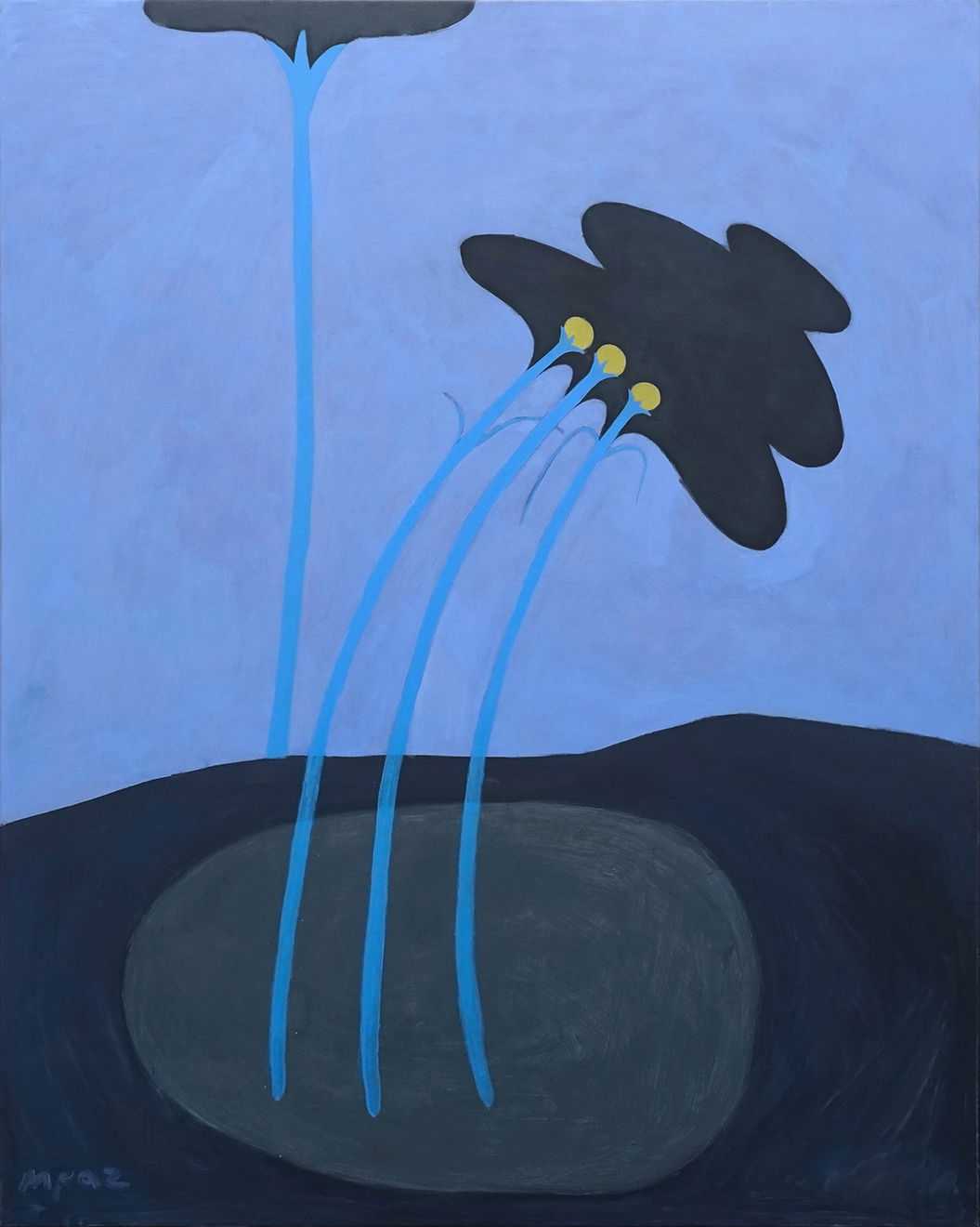 Magdalena Paz, Stuborness To Stay, 2025