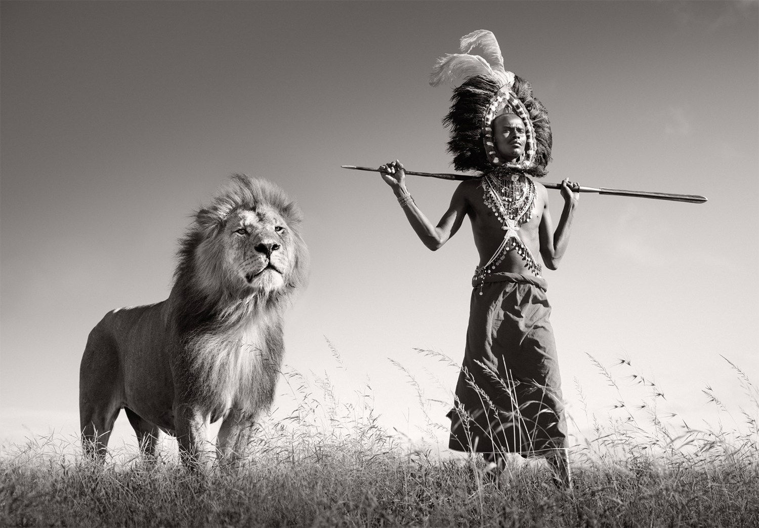 James Lewin, Guardians Of The Plains, 2025