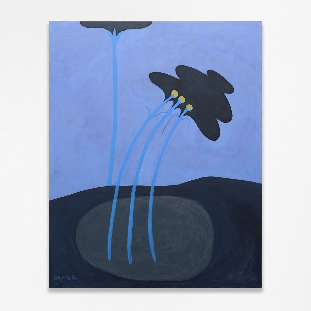 Magdalena Paz, Stuborness To Stay, 2025