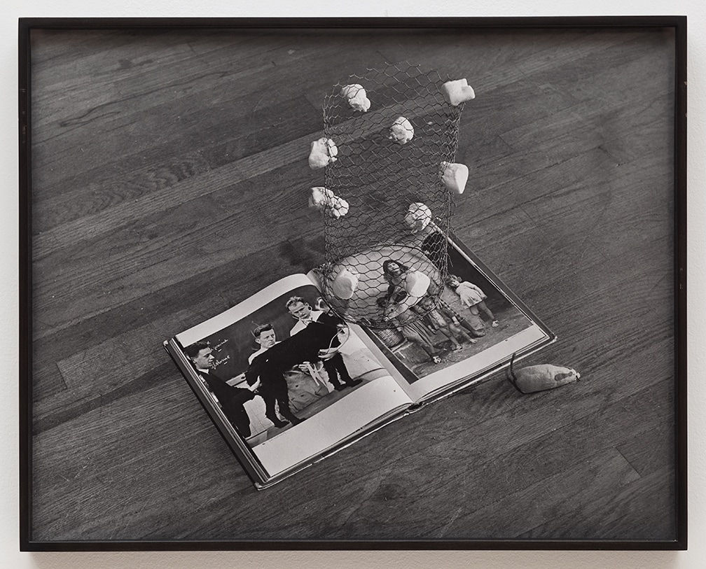 William Leavitt, Random Selection: Dog, Wire, Marshmallows, Mice,, 1969