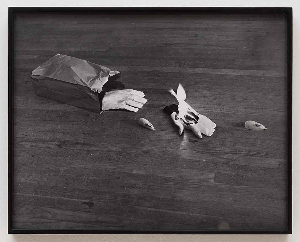 William Leavitt, Random Selection: Bag, Glove, Fire, Mice,, 1969