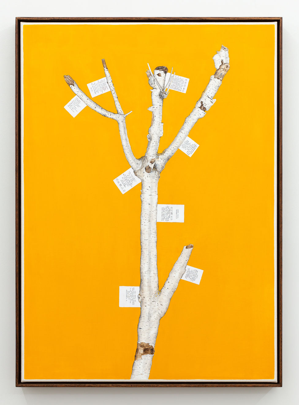 Zina Swanson, Wash With Care and Wash Separately, 2022