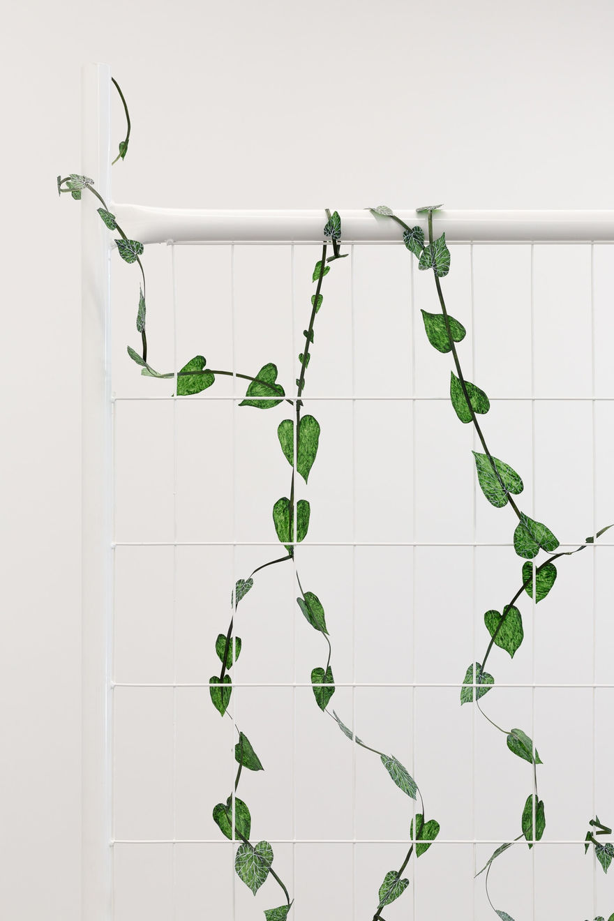 Zina Swanson, Convolvulus Diaries 1, 2023