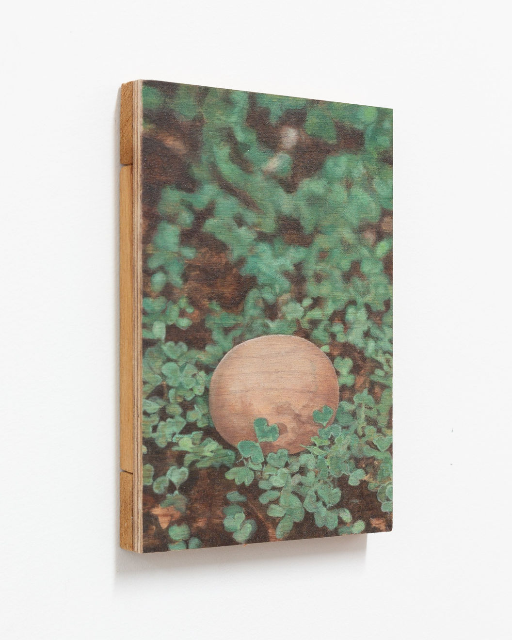 Lily McRae, Hexed, 2020