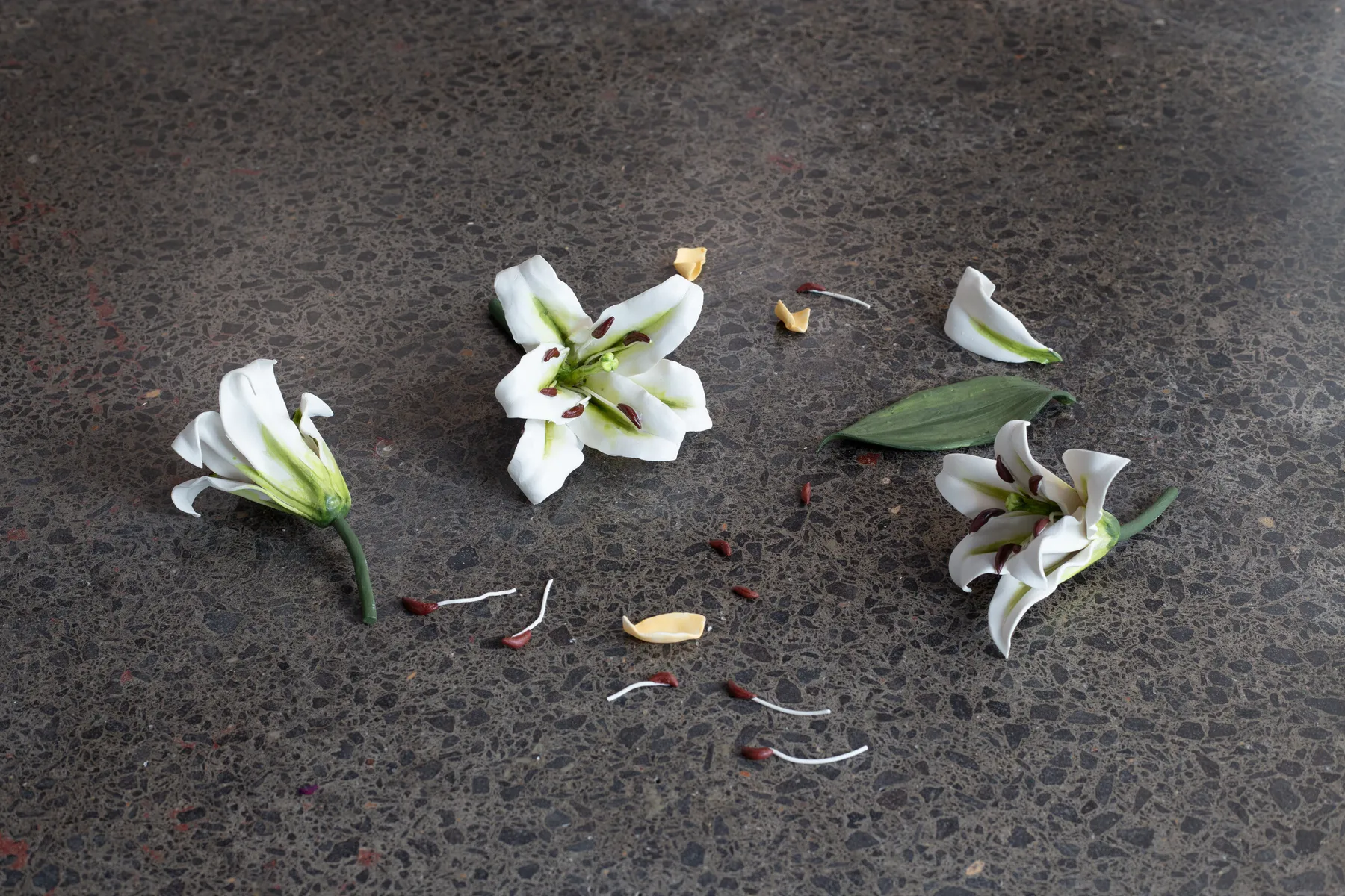 Cindy Huang, First breath 百合花, #5, 2023