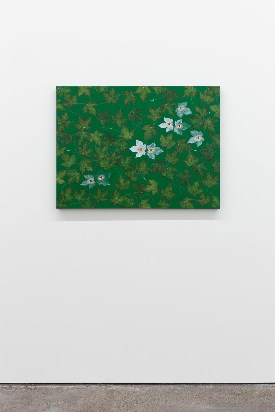 Zina Swanson, Plant Blind, 2025