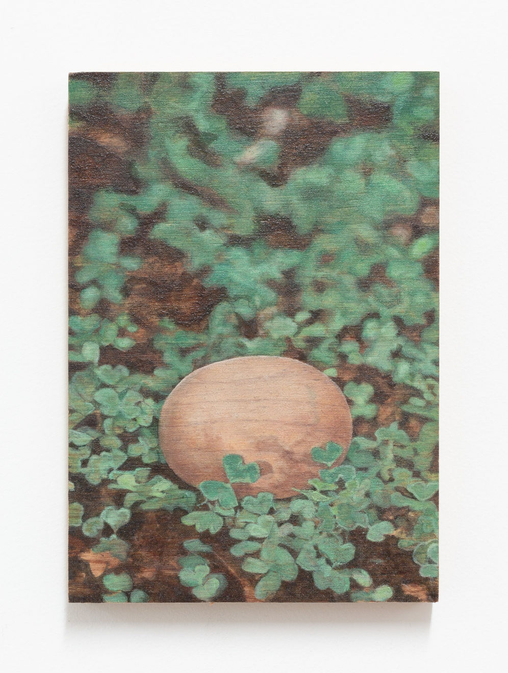 Lily McRae, Hexed, 2020