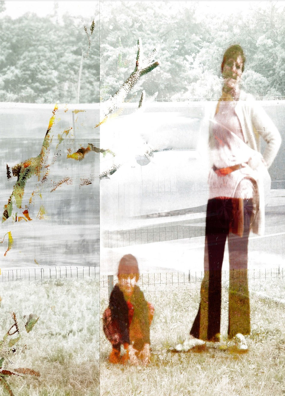 Luis Zimmermann, Madre corallo II, 2024