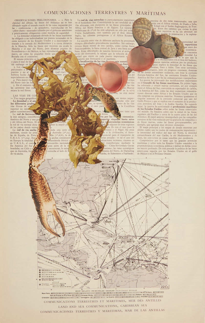 Apnavi Makanji, Appropriation Disinformation - Nature and the Body Politic IX, 2019