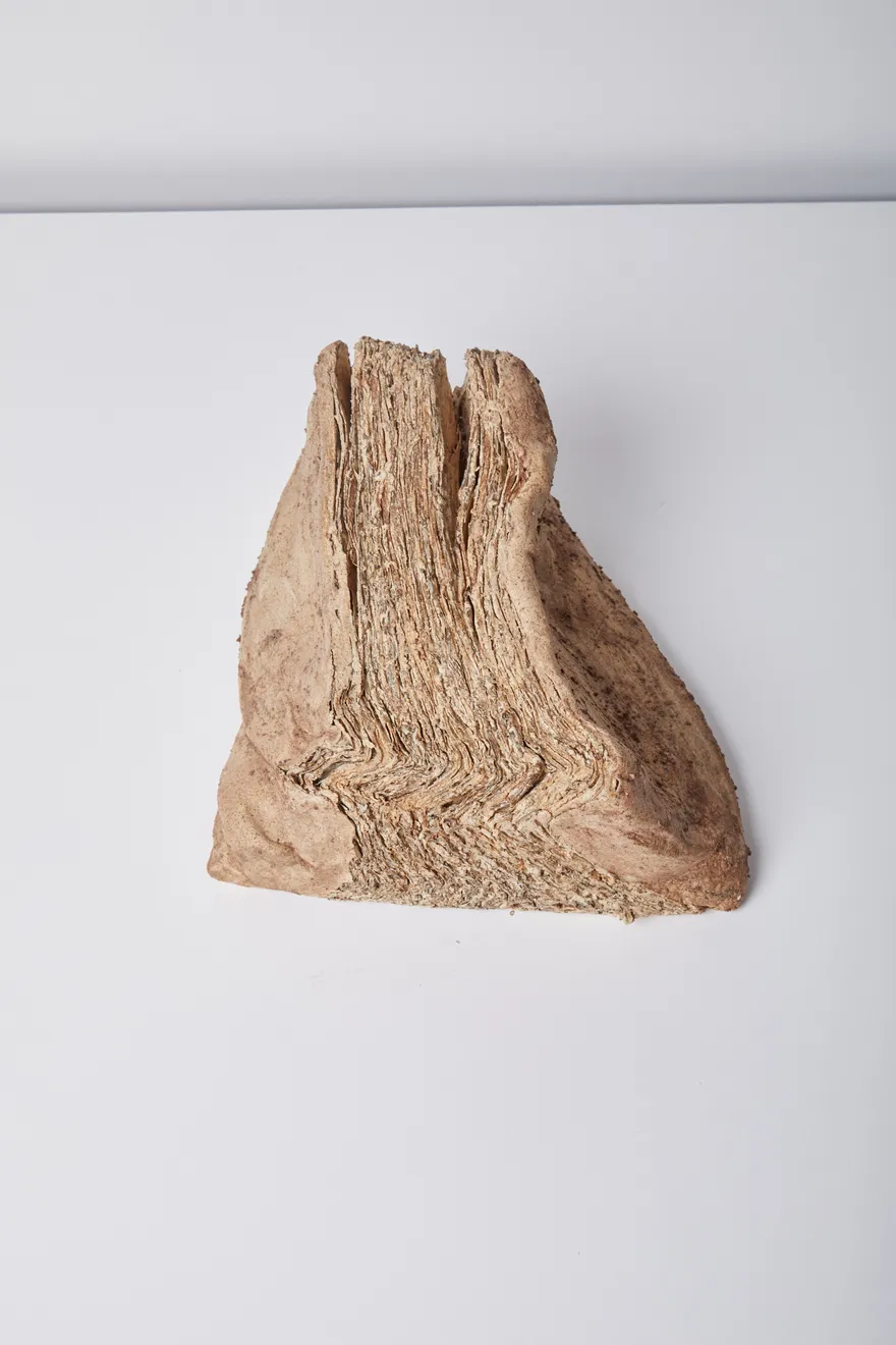 Savia Mahajan, Pietra 12, 2023