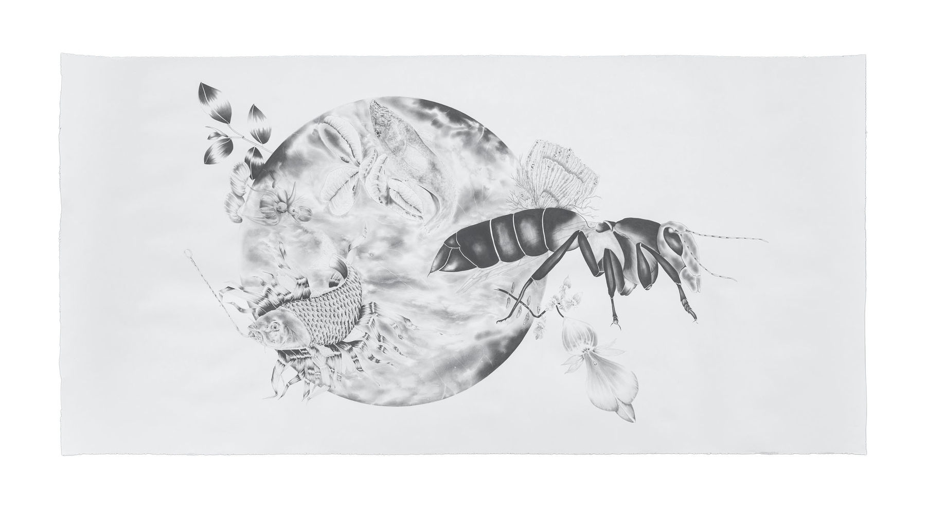 Apnavi Makanji, PARALLAX series: ASIAN INVASION , 2024