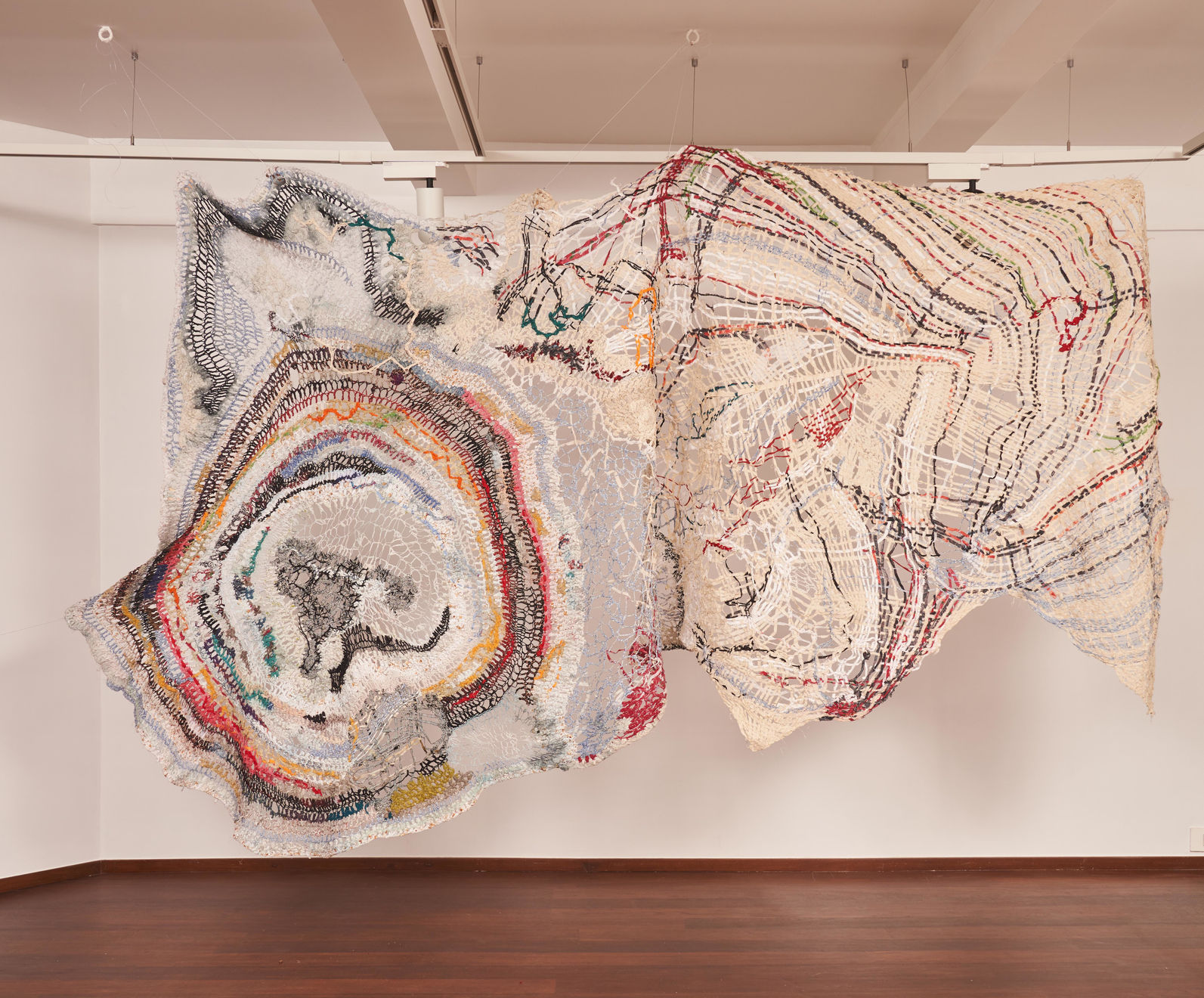 Boshudhara Mukherjee, The Shapeshifter, 2021