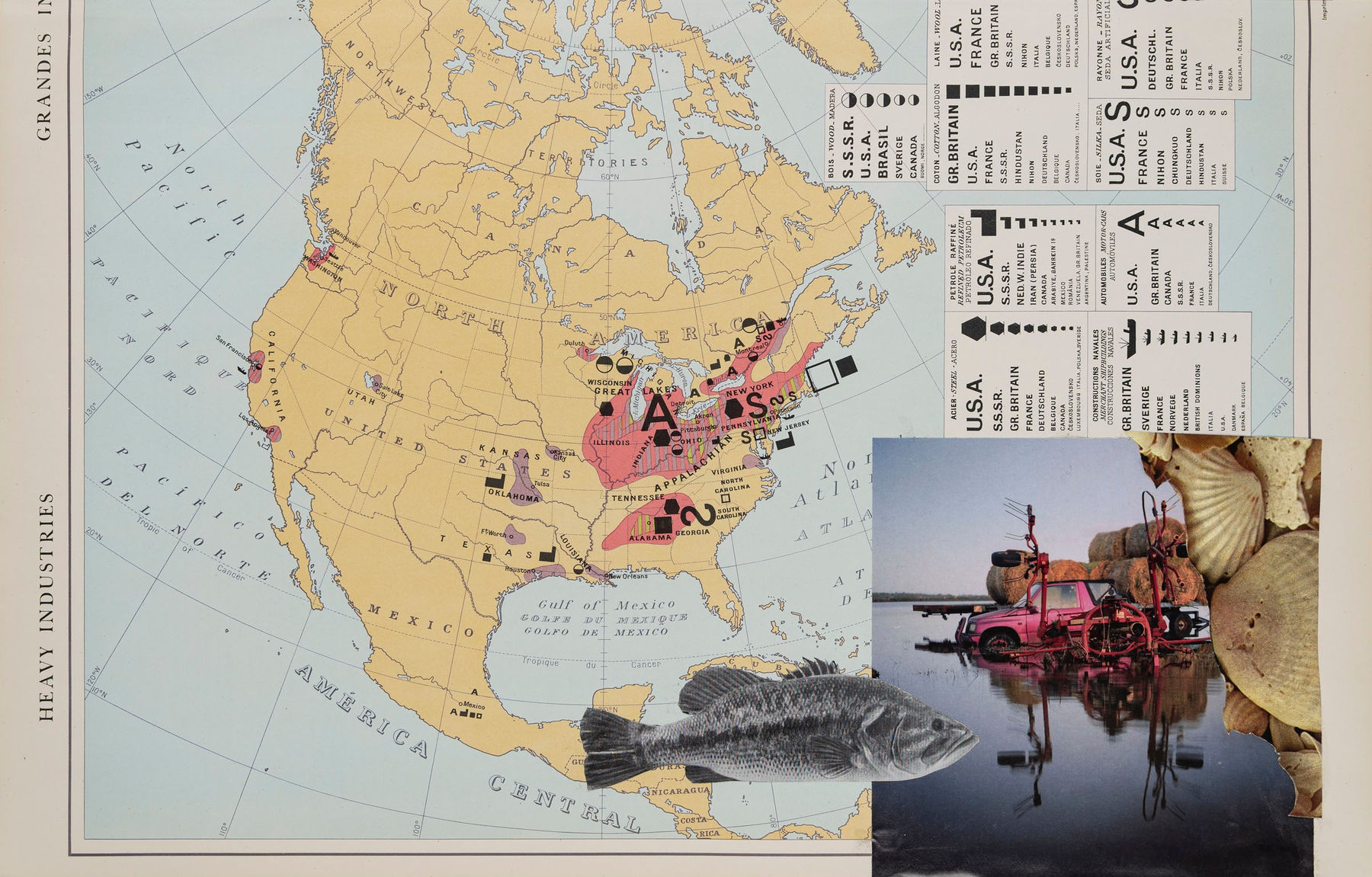 Apnavi Makanji, APPROPRIATION DISINFORMATION – NATURE AND THE BODY POLITIC Series: HEAVY INDUSTRIES, 2024
