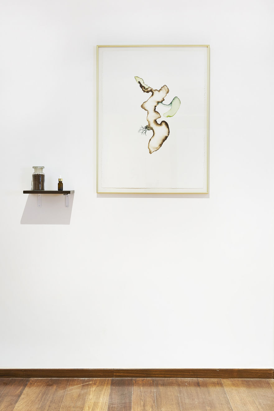 Apnavi Makanji, 18.7526093, 73.4053331, 2019