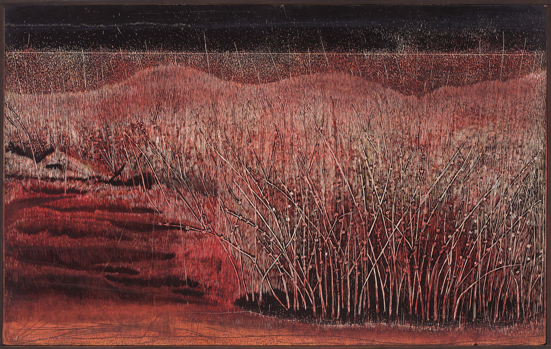 Soghra Khurasani, Shadows under my sky - 6, 2022