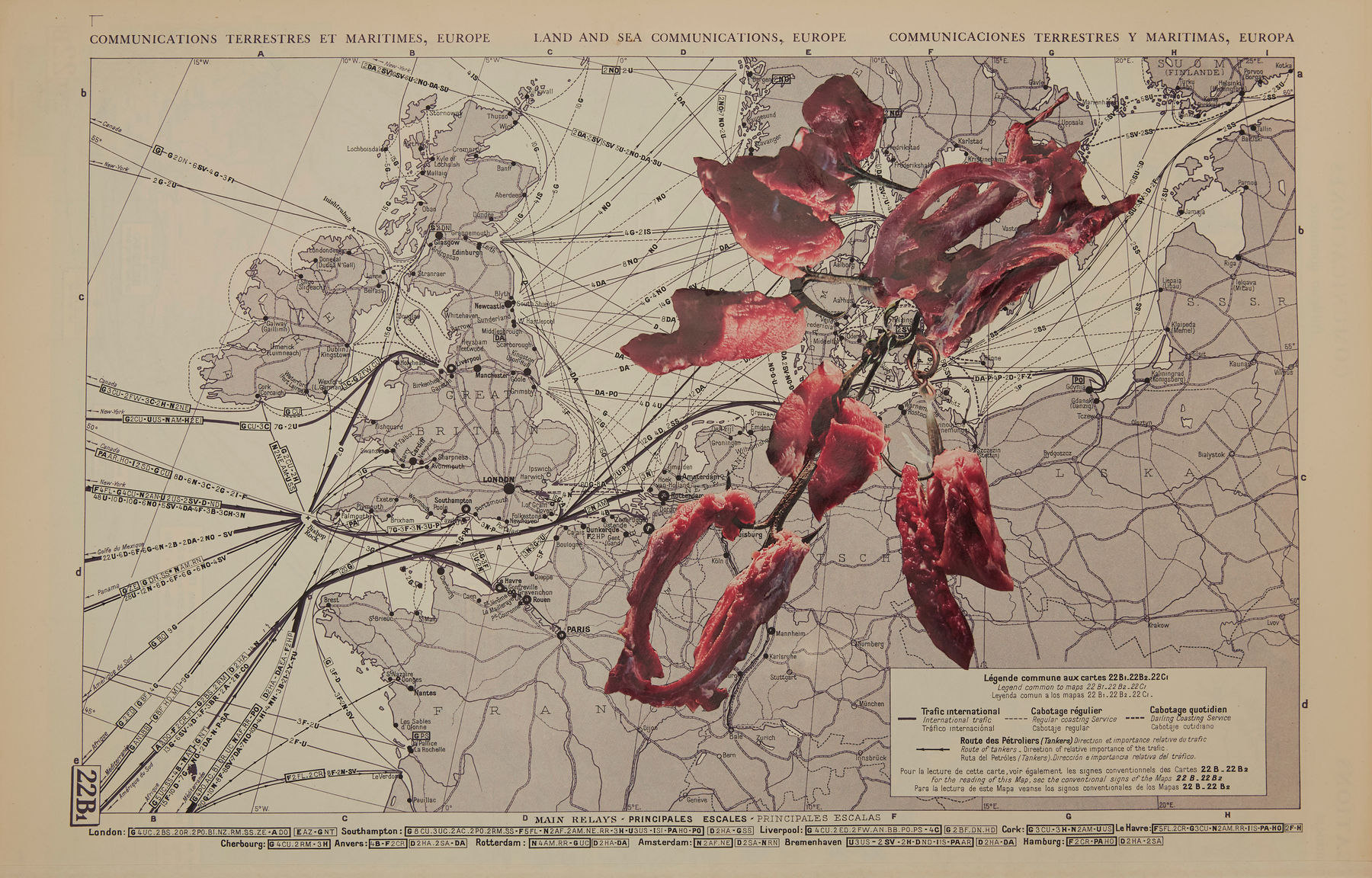 Apnavi Makanji, Appropriation Disinformation - Nature and the Body Politic XIV, 2019