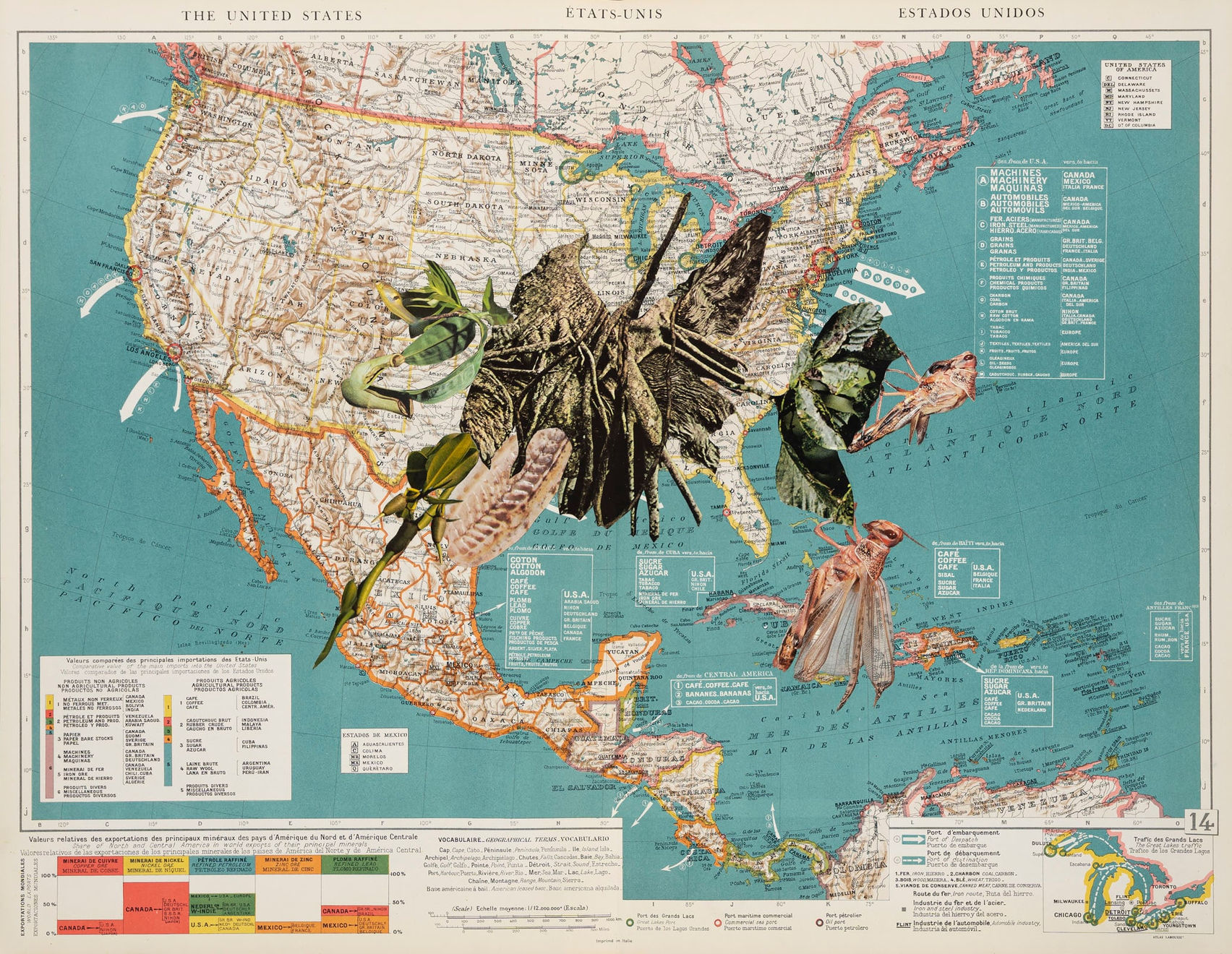 Apnavi Makanji, APPROPRIATION DISINFORMATION – NATURE AND THE BODY POLITIC Series: AMERIKKKA, 2024