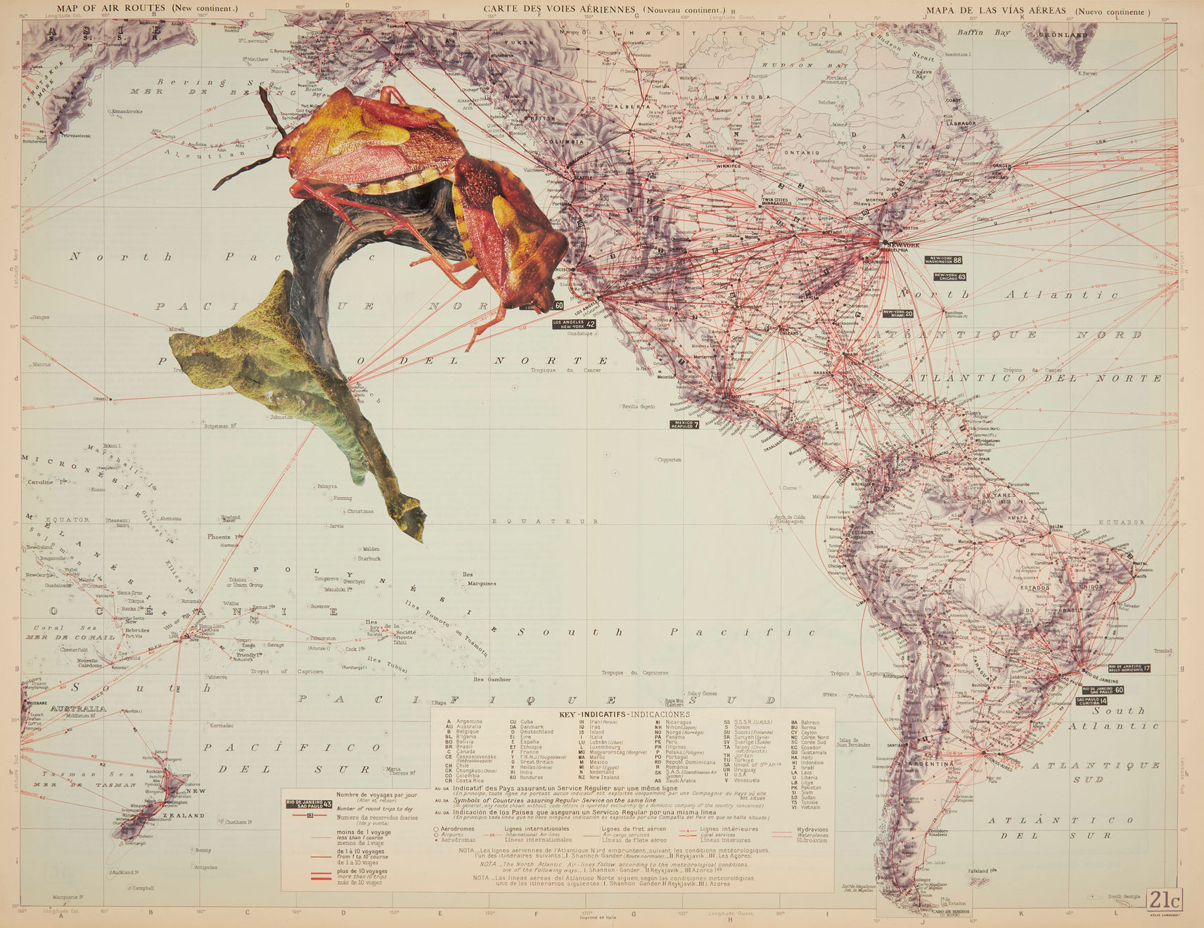 Apnavi Makanji, Appropriation Disinformation - Nature and the Body Politic III, 2019
