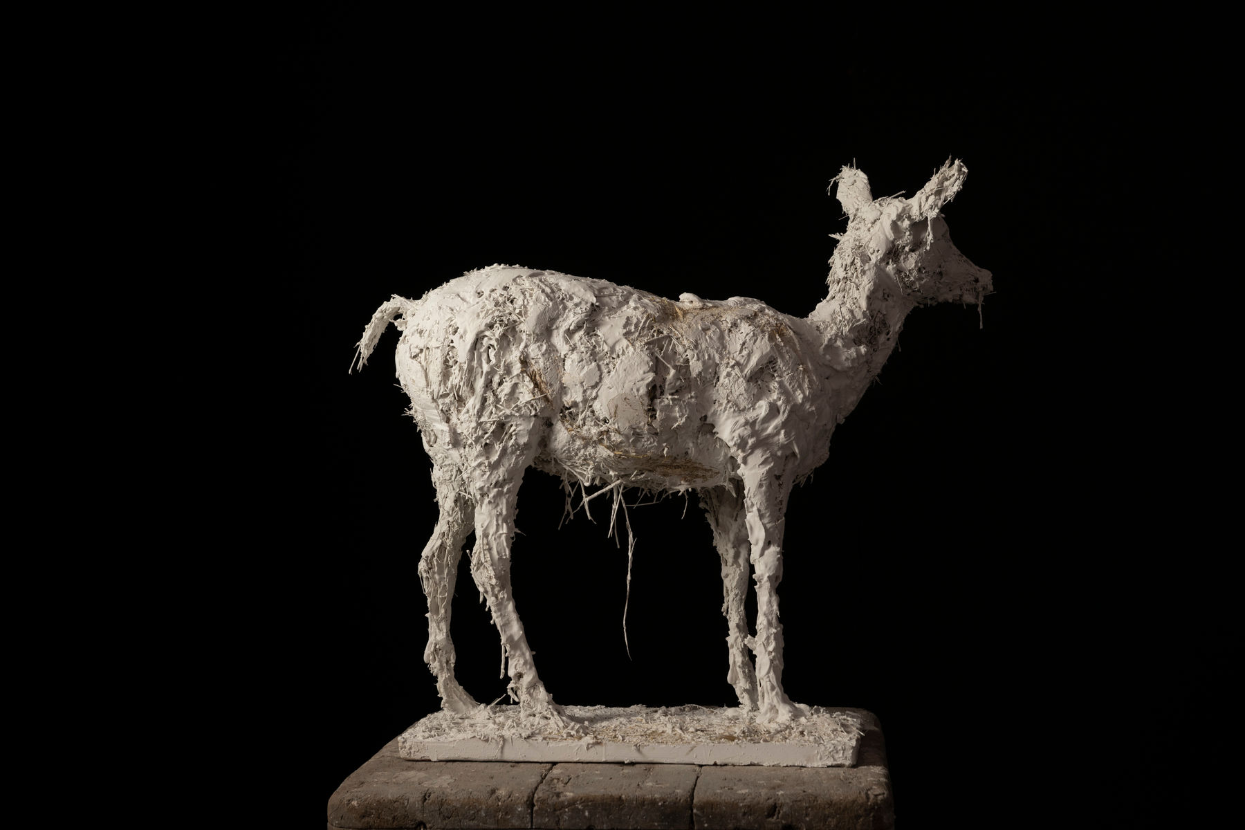 Nicola Hicks, Little Dear, 2023