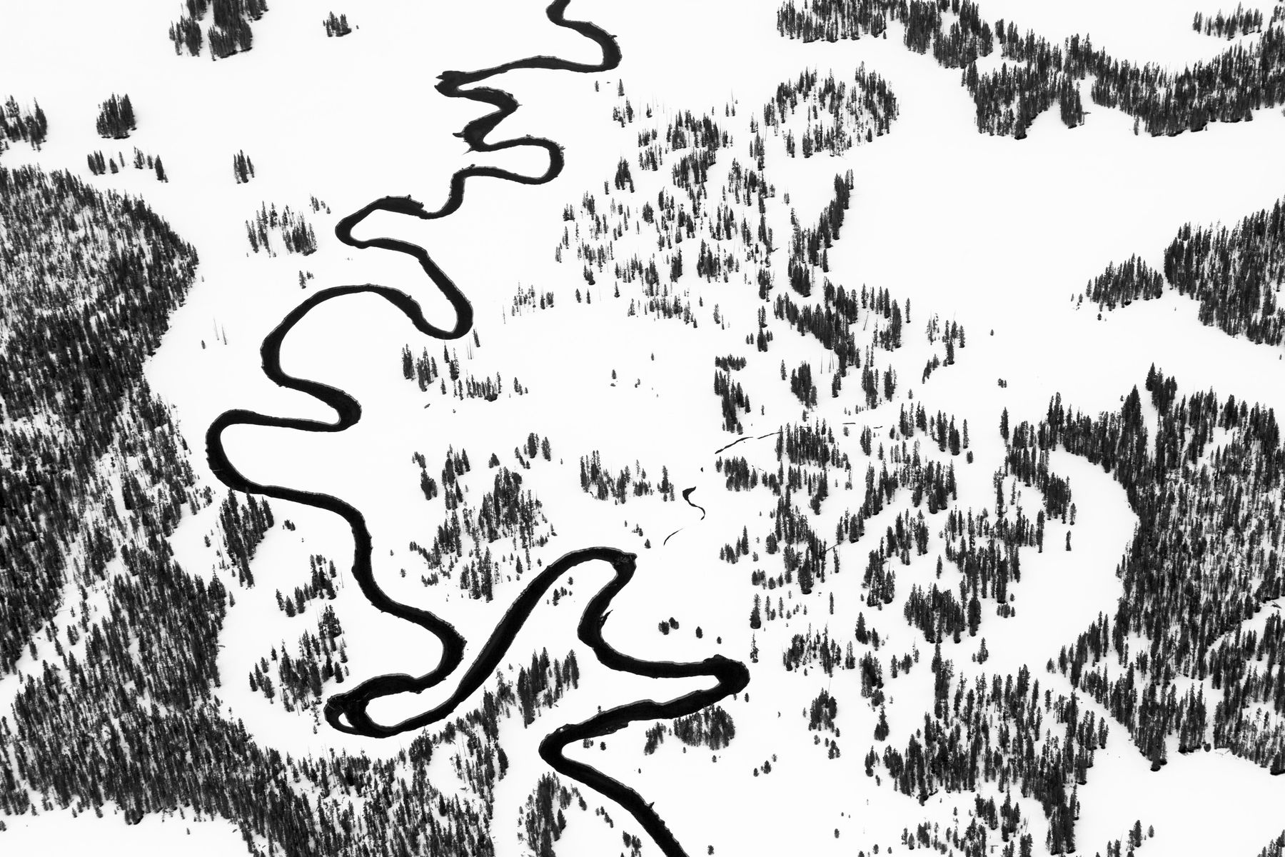 Tuck Fauntleroy, Waterline II, 2008-2017