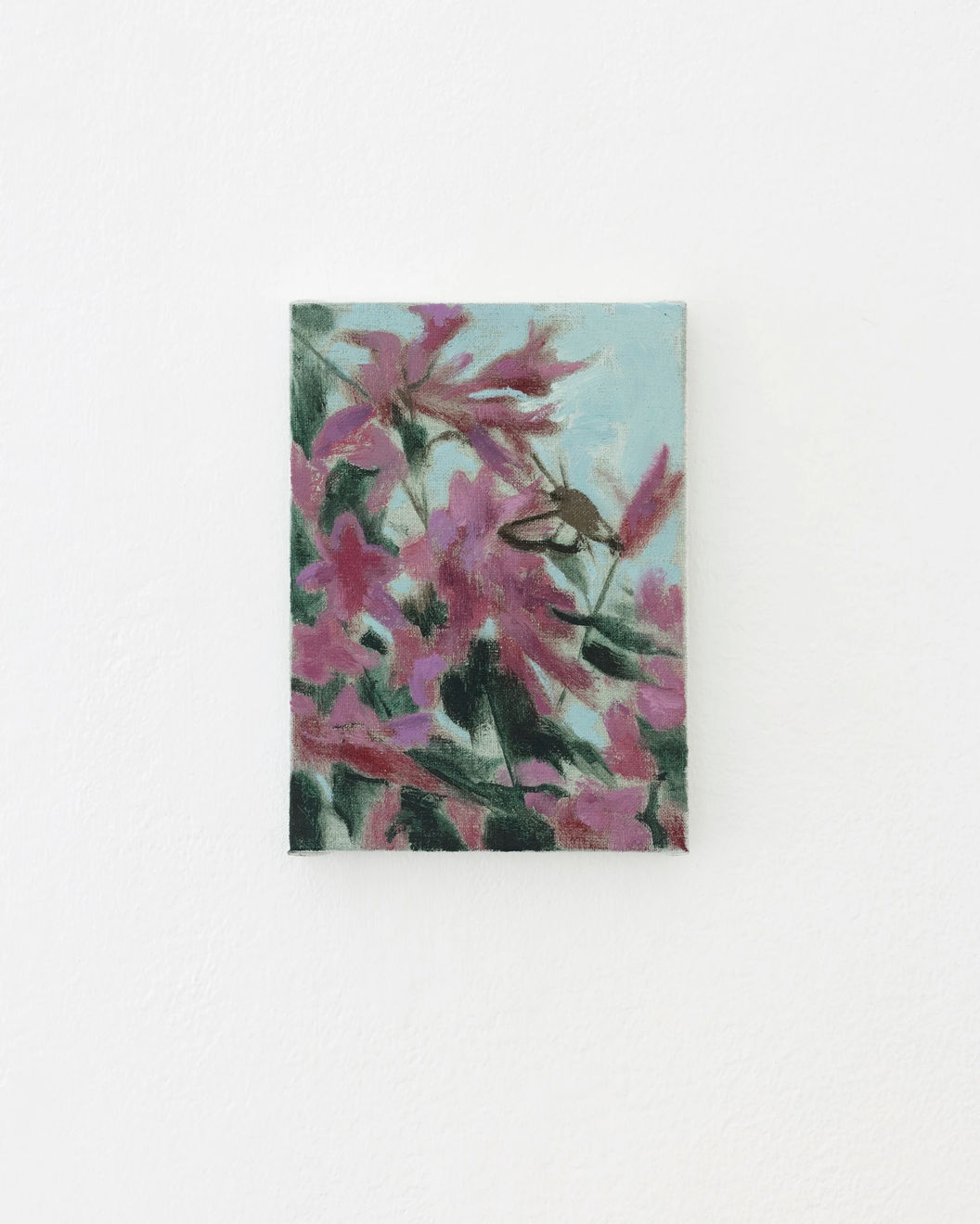 Susanne Johansson, Humledagsvärmare / Bee Hawk-Moth, 2022