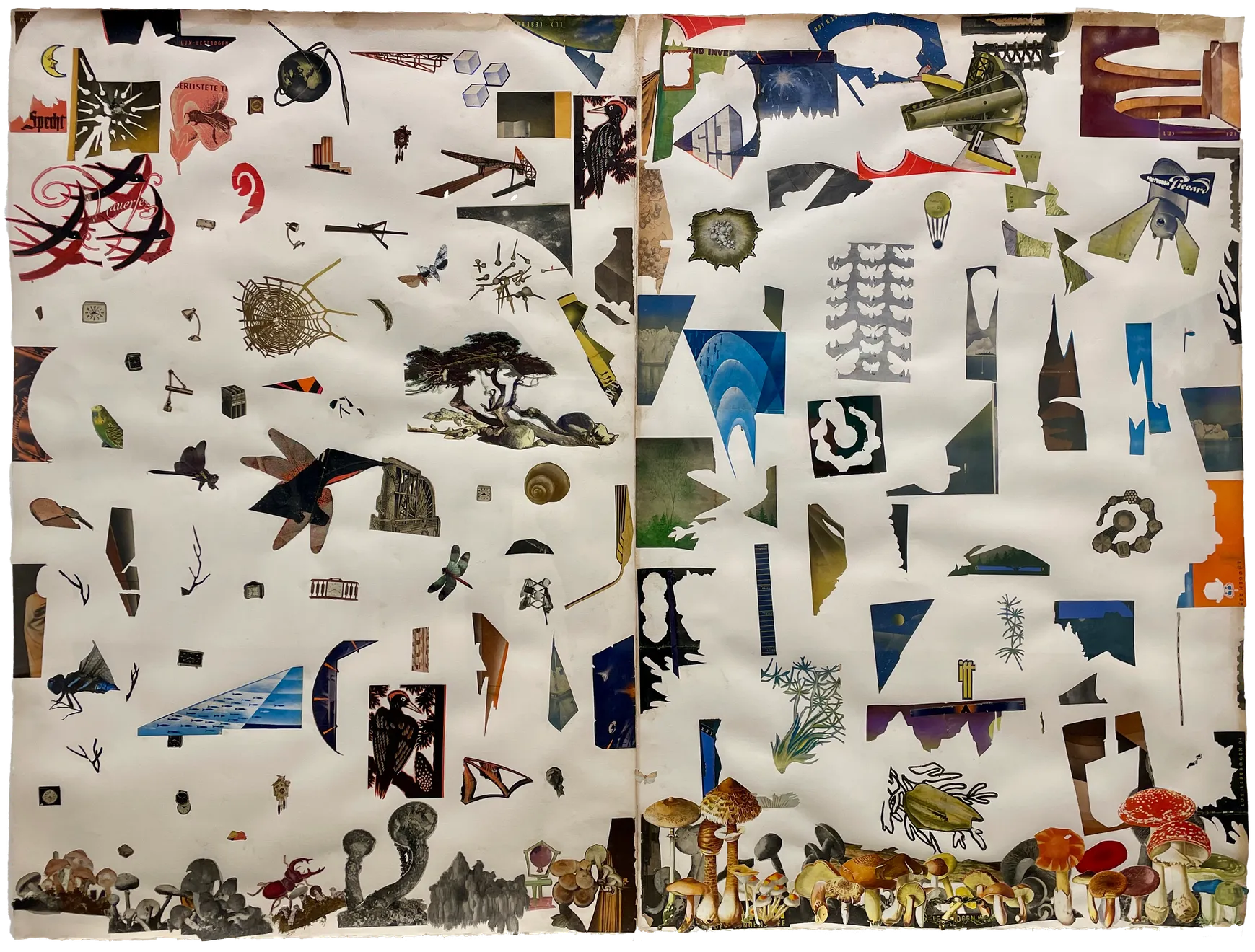 Lance Letscher, Chief, 2024