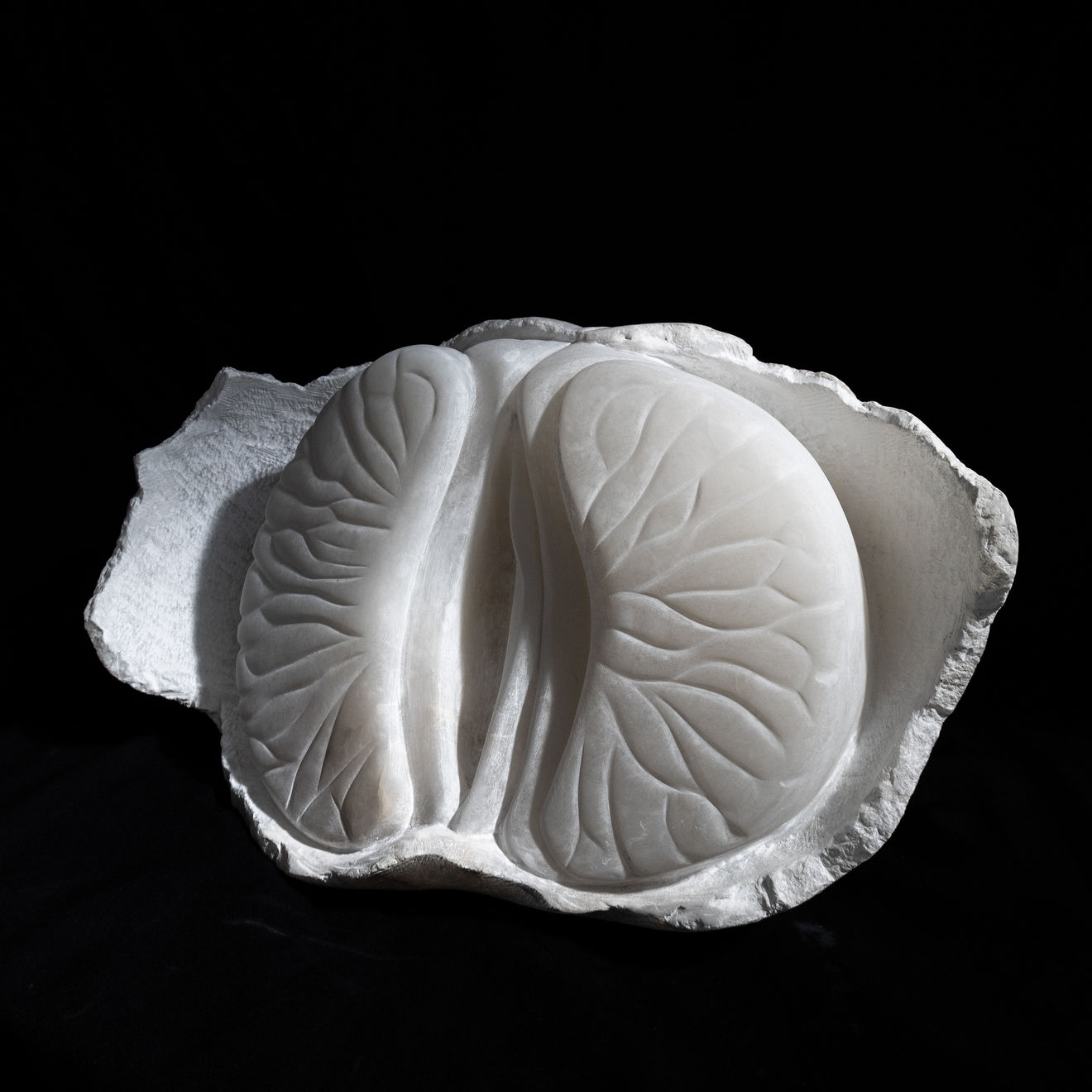 BibiMichèle, Clementine, 2023