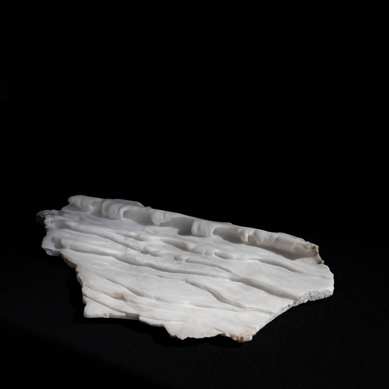 BibiMichèle, Tide, 2023