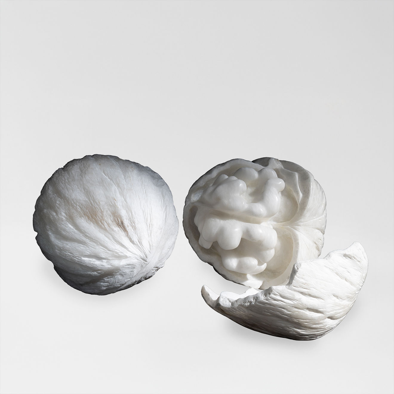 BibiMichèle, Walnut, 2023