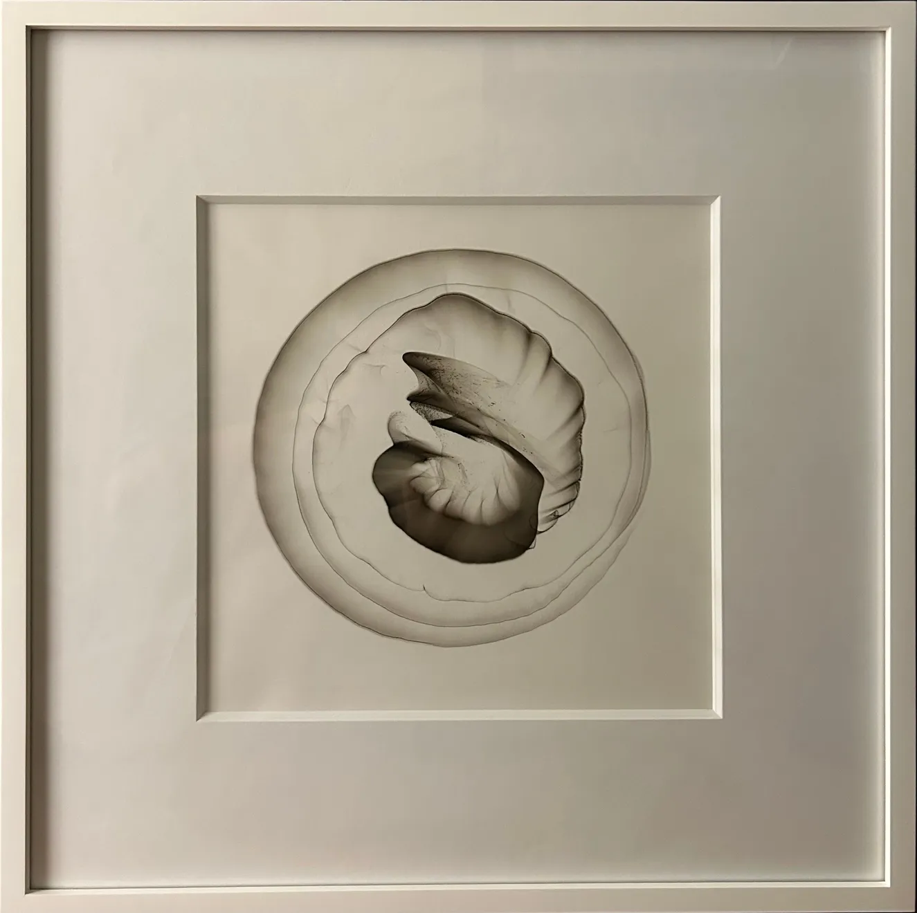 Dennis Lee Mitchell, Untitled, 2017