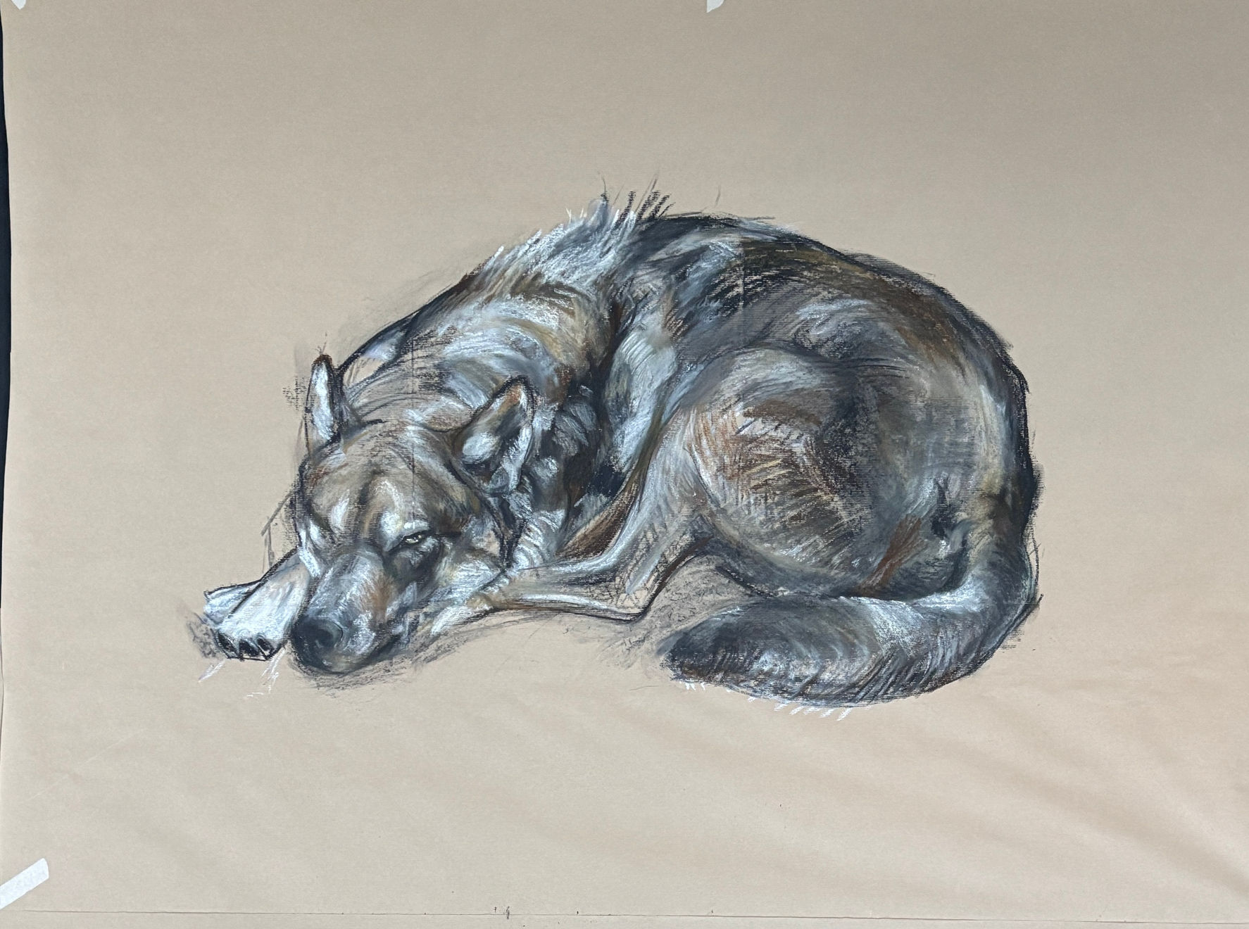 Nicola Hicks, Wolf Dream, 2025