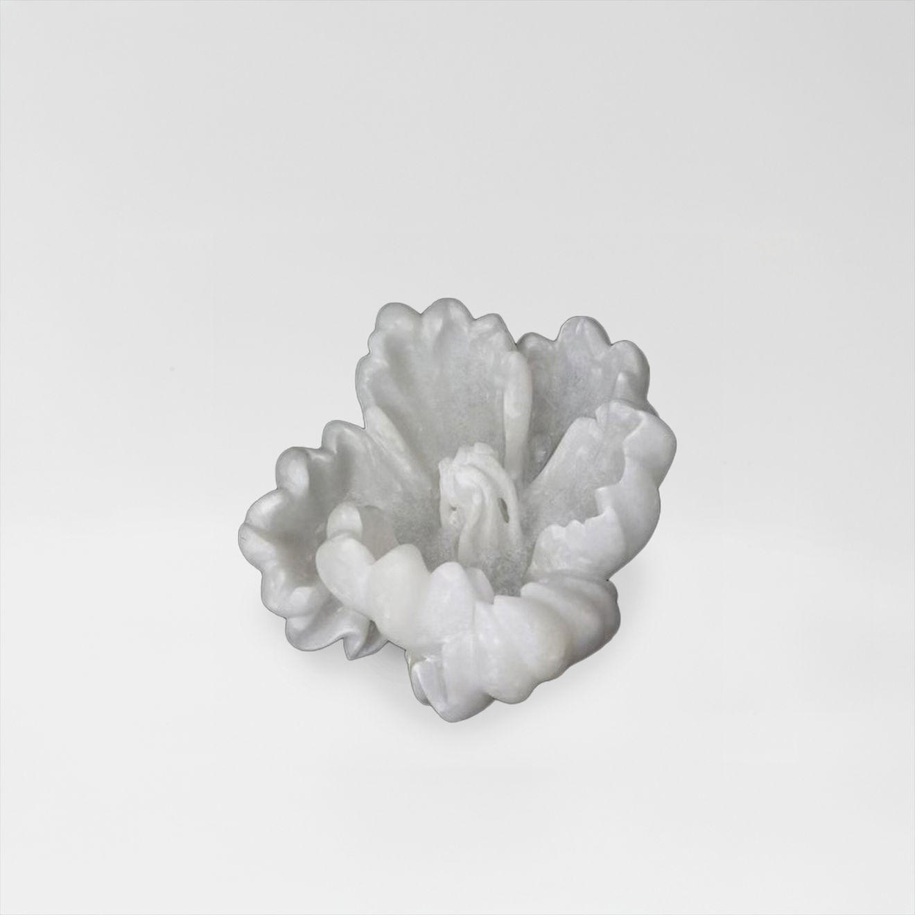 BibiMichèle, Tulipa, 2023