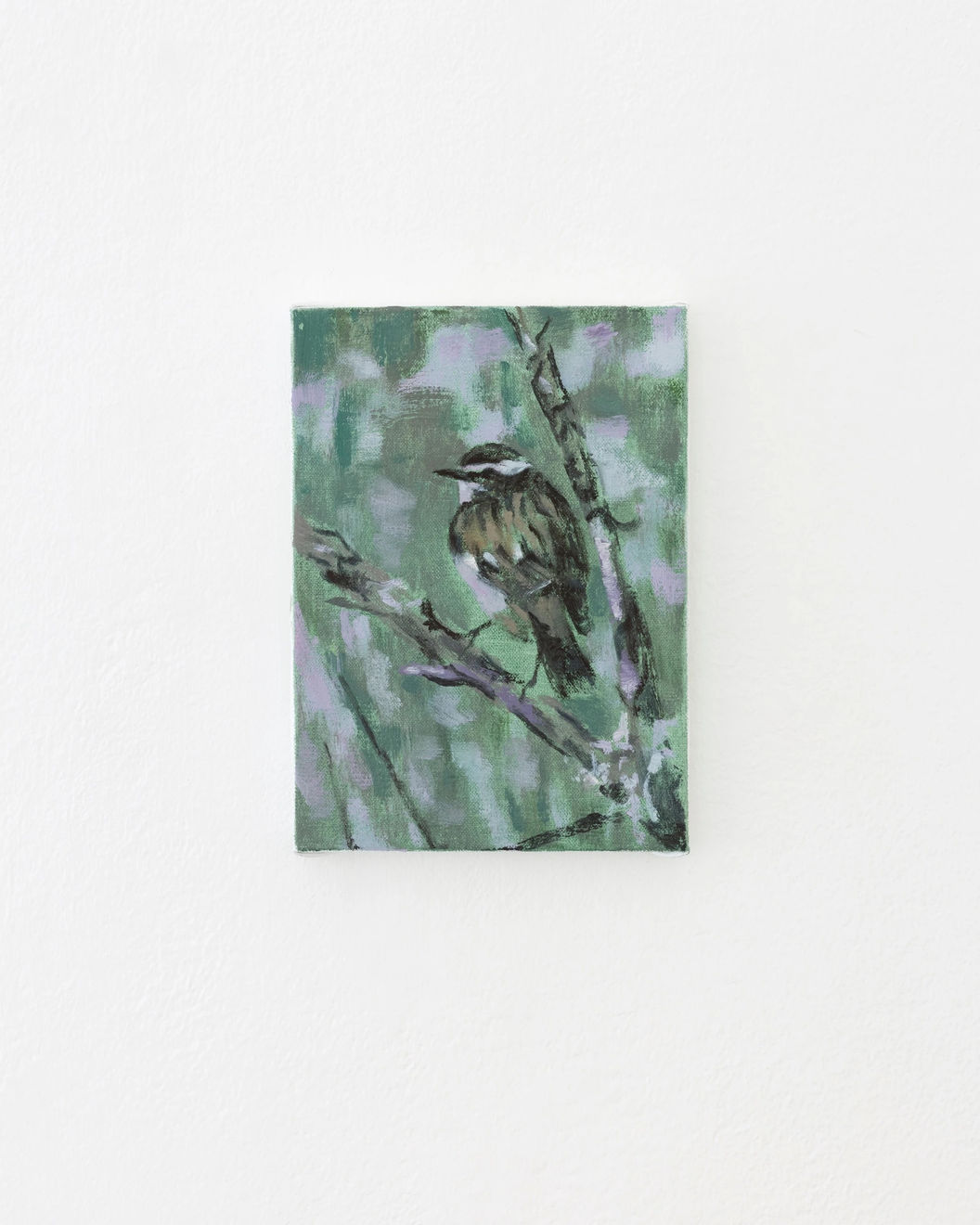 Susanne Johansson, Buskskvättan / Whinchat, 2023