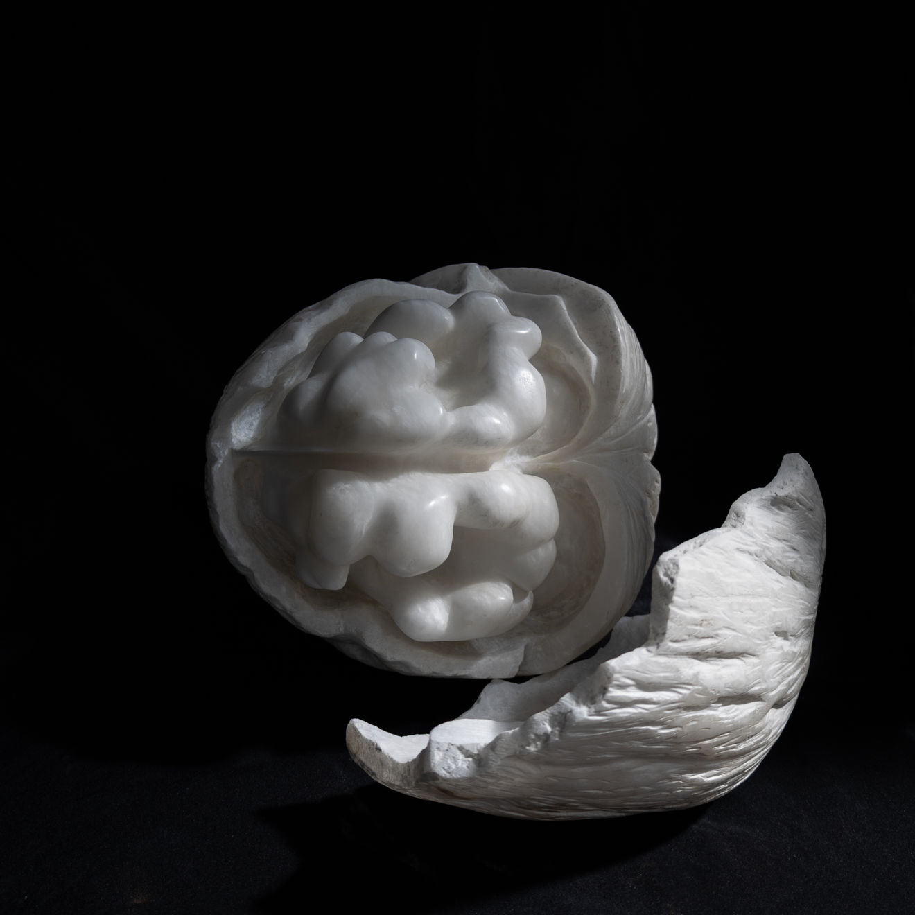 BibiMichèle, Walnut, 2023