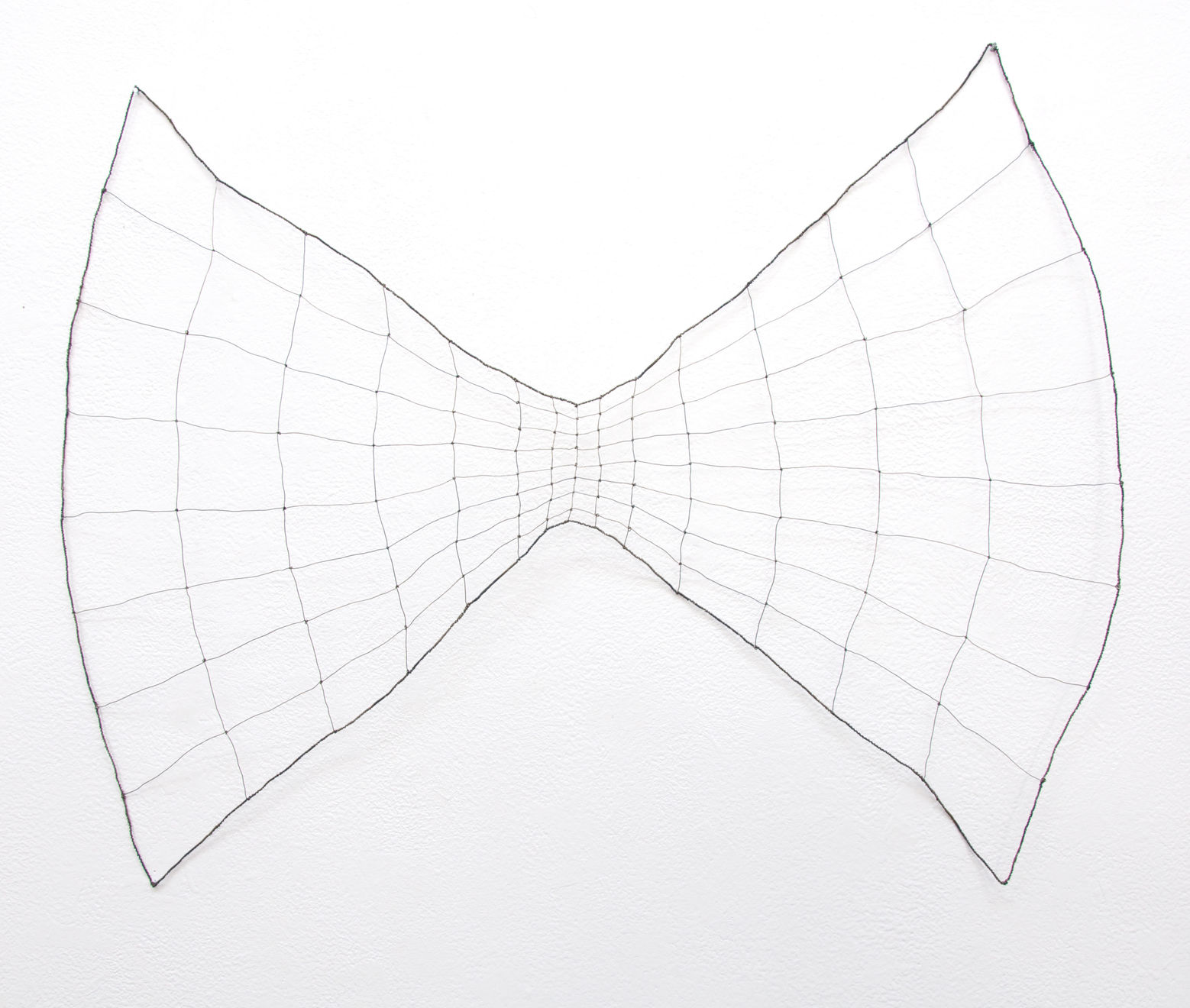 Mari Andrews, Echo 2, 2020