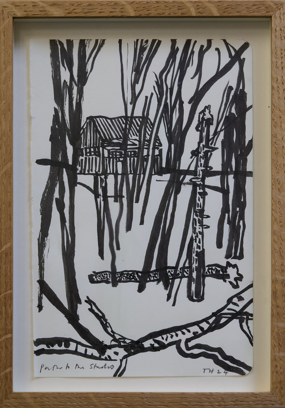 Tom Hammick, Path to the Studio, 2024