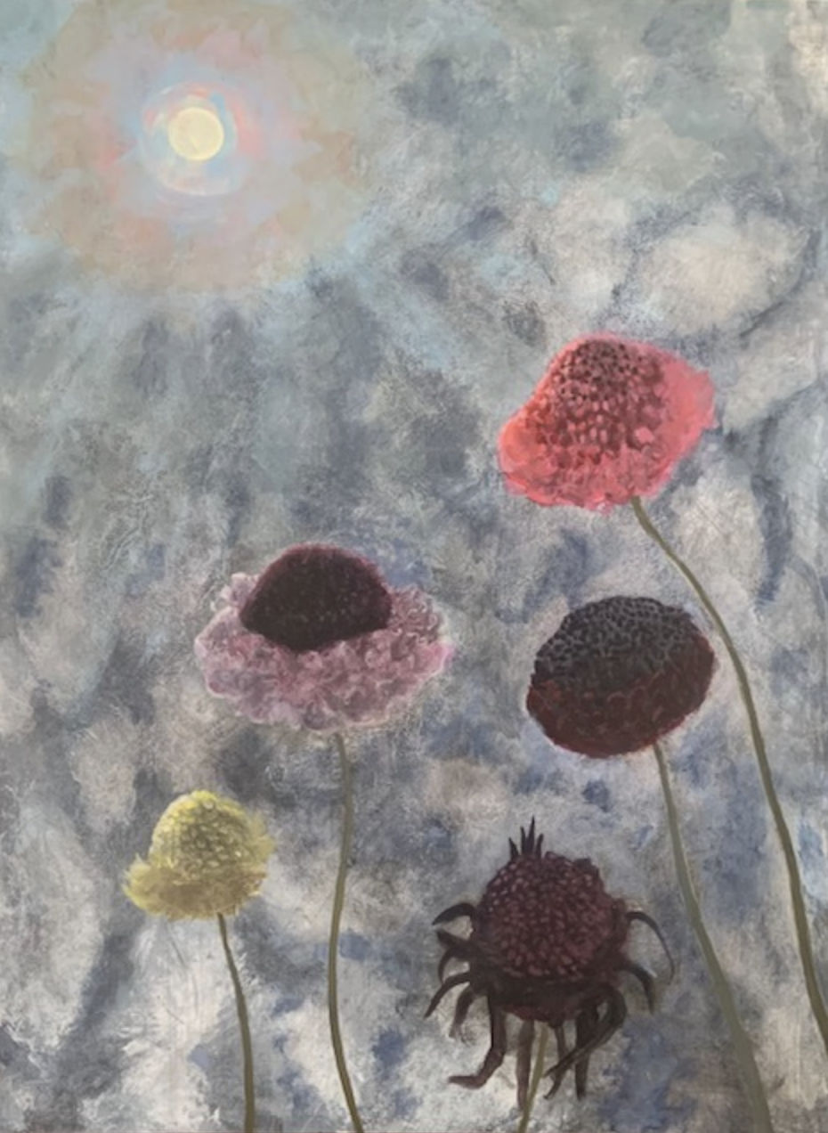 Nancy Diamond, Winter Scabiosa, 2022