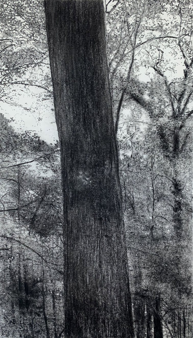 Jeffrey Blondes, 20-07D Bois de Mametz 01h50m00s, 2020