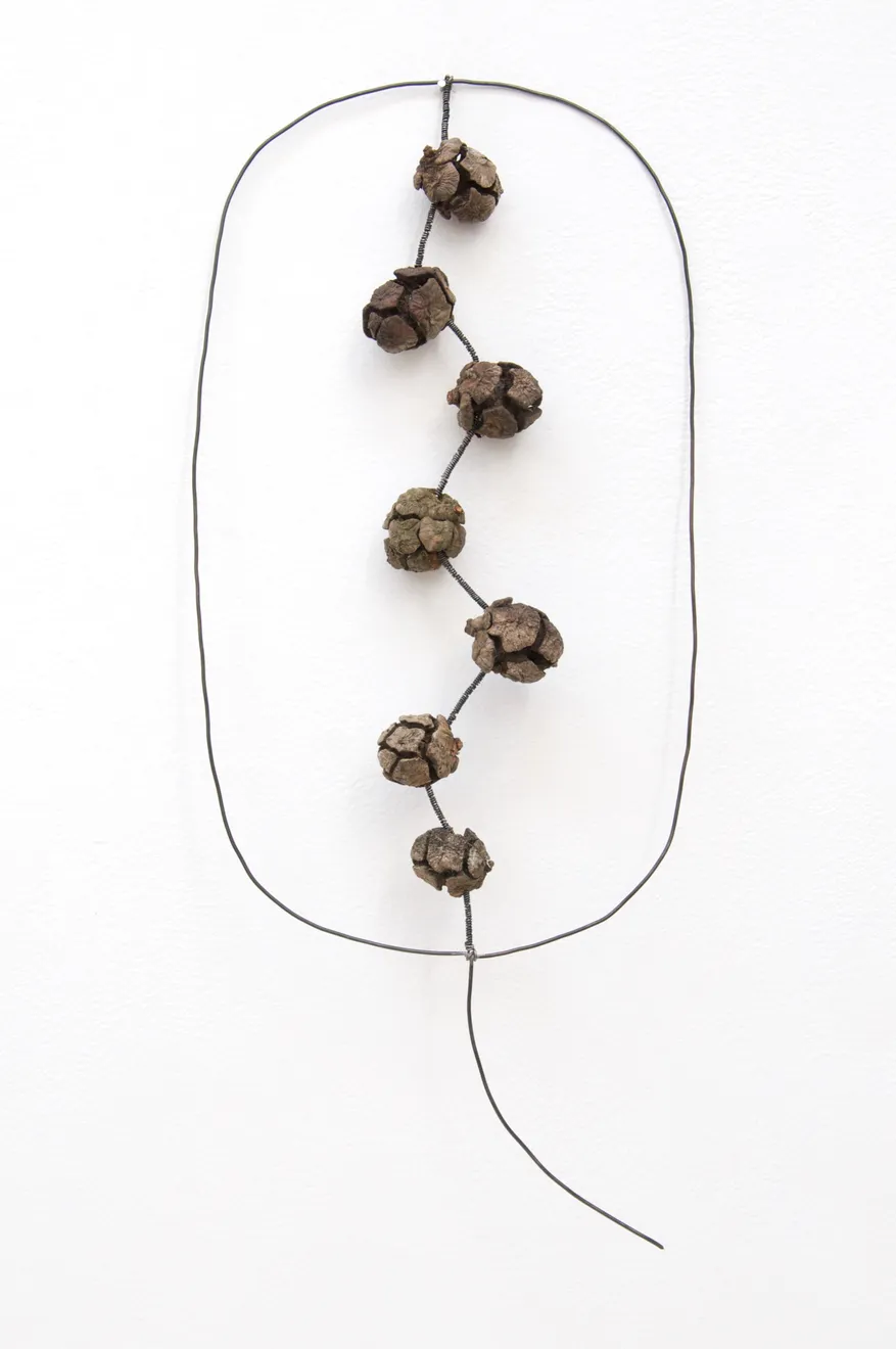 Mari Andrews, Cypress, 2020